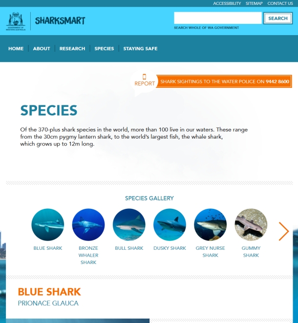 WA launches Sharksmart
